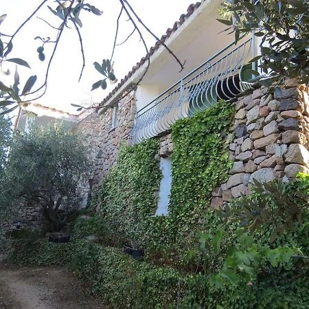 ホテル Casa In Campagna ドルガーリ エクステリア 写真